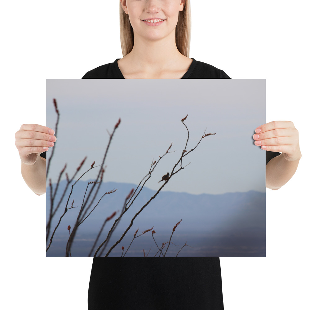 Tucson Blue Mountains-0374-mockup_Person_Person_16x20