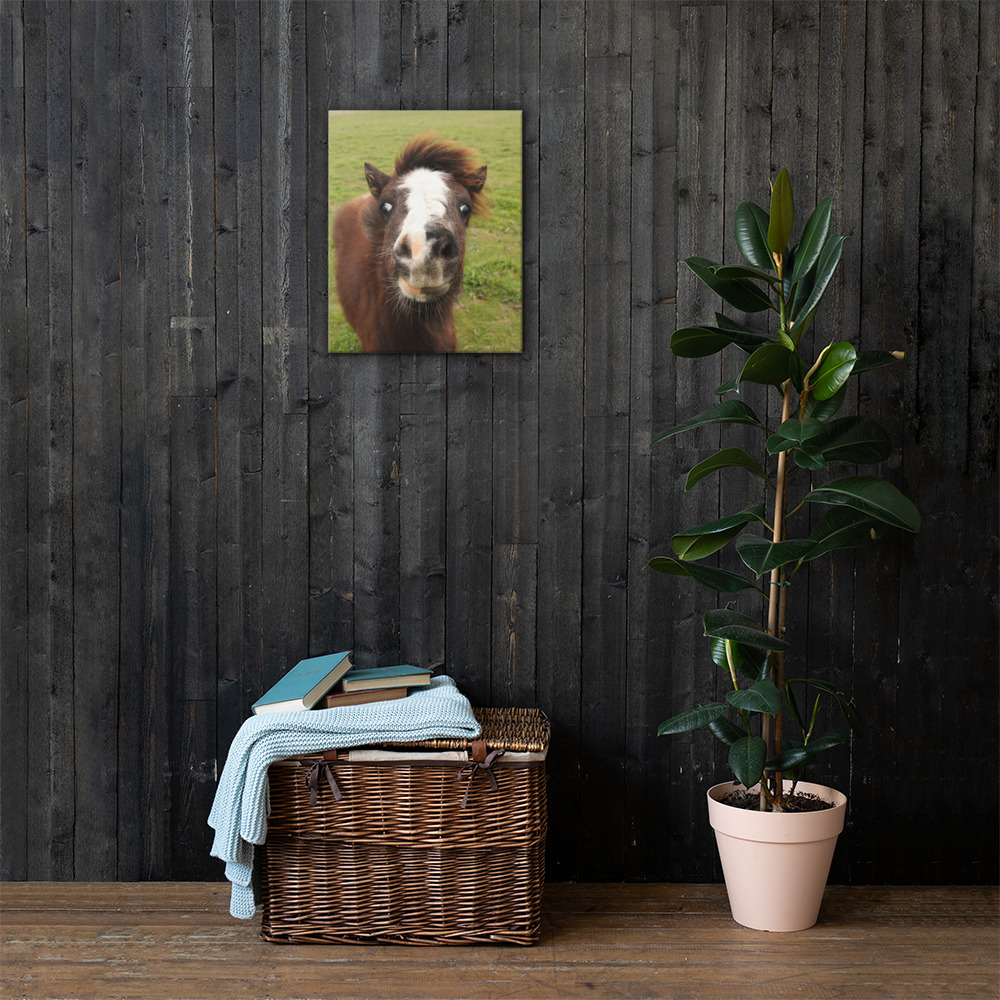 IMG_1376-Smile-Gallery-Wrap-16x20_mockup_Lifestyle-1_Lifestyle_16x20