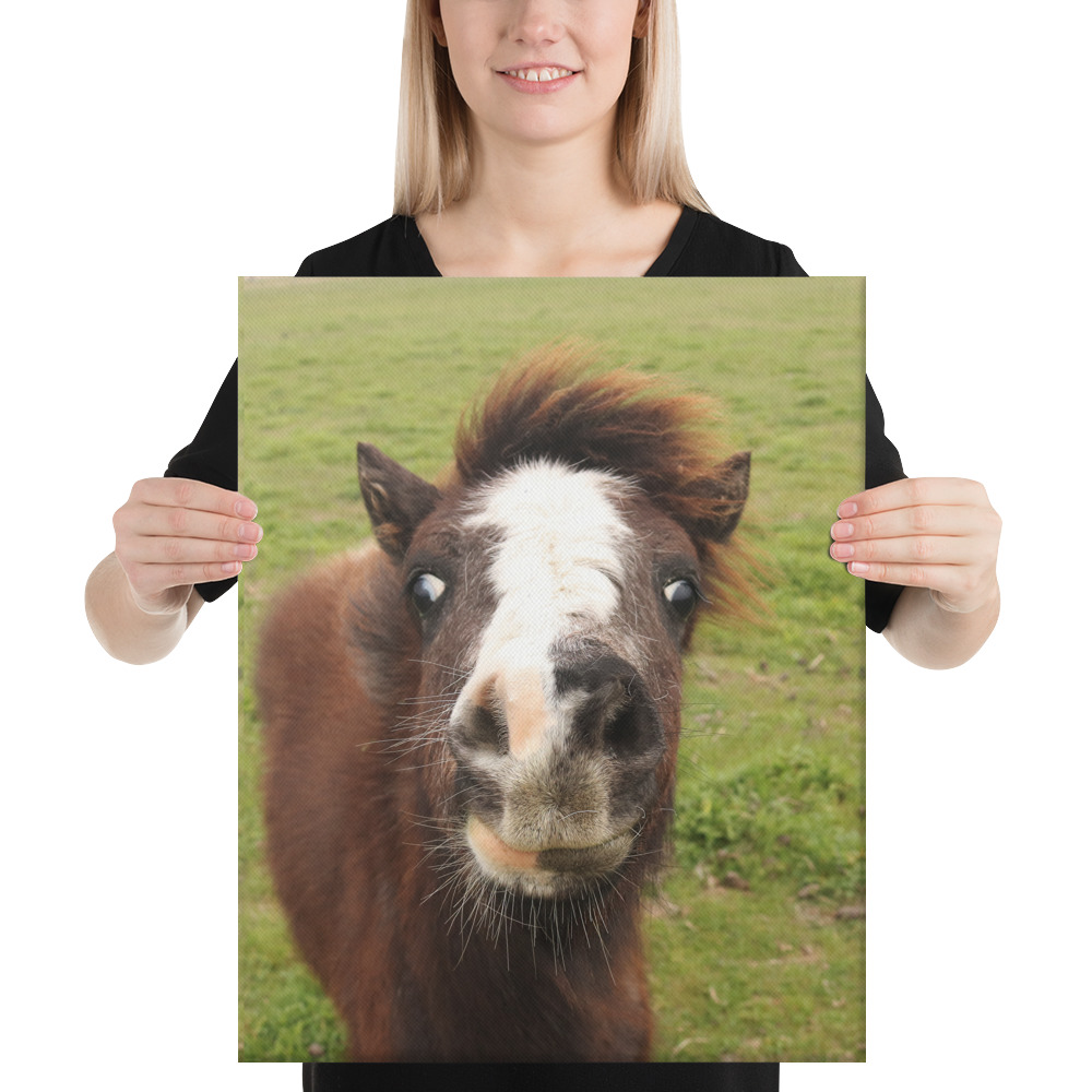 IMG_1376-Smile-Gallery-Wrap-16x20_mockup_Person_Person_16x20