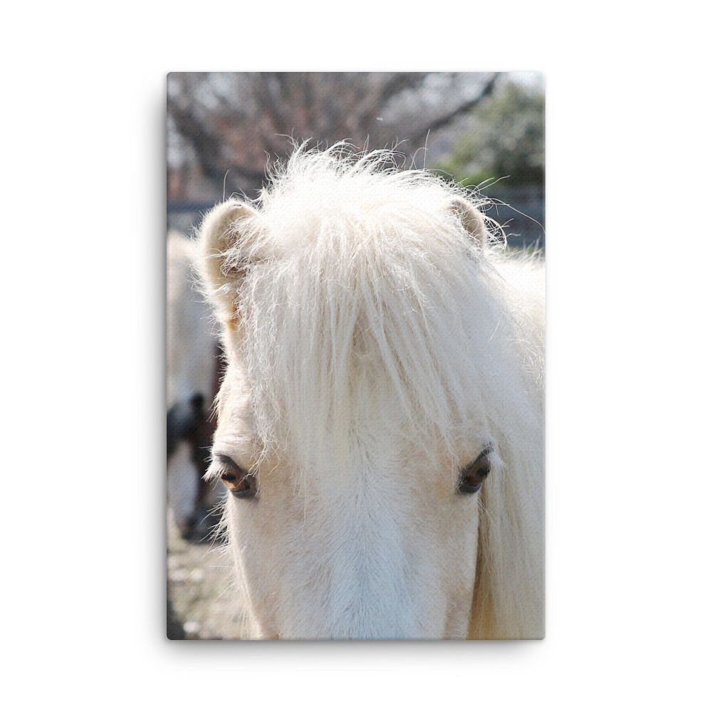 IMG_9681-Beautiful-30x42-2_mockup_Wall_Wall_24x36