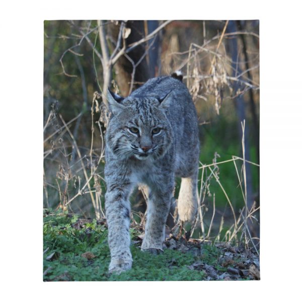 Wildlife Bobcat Throw Blanket Nature Art Decor & More