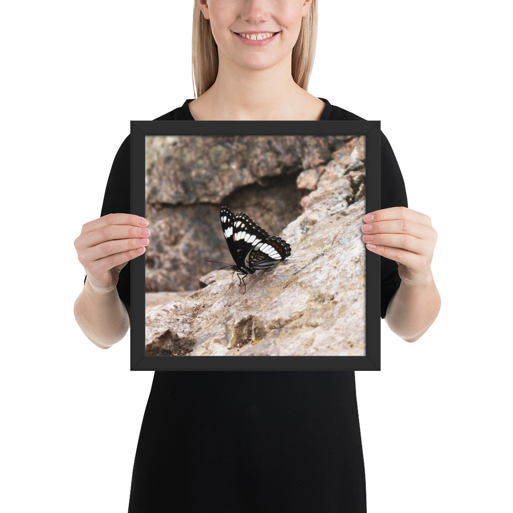 premium-luster-photo-paper-framed-poster-(in)-black-12x12-person-612fd6c77a073