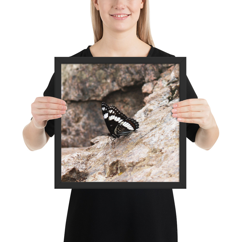 premium-luster-photo-paper-framed-poster-(in)-black-14x14-person-612fd6c77a0be