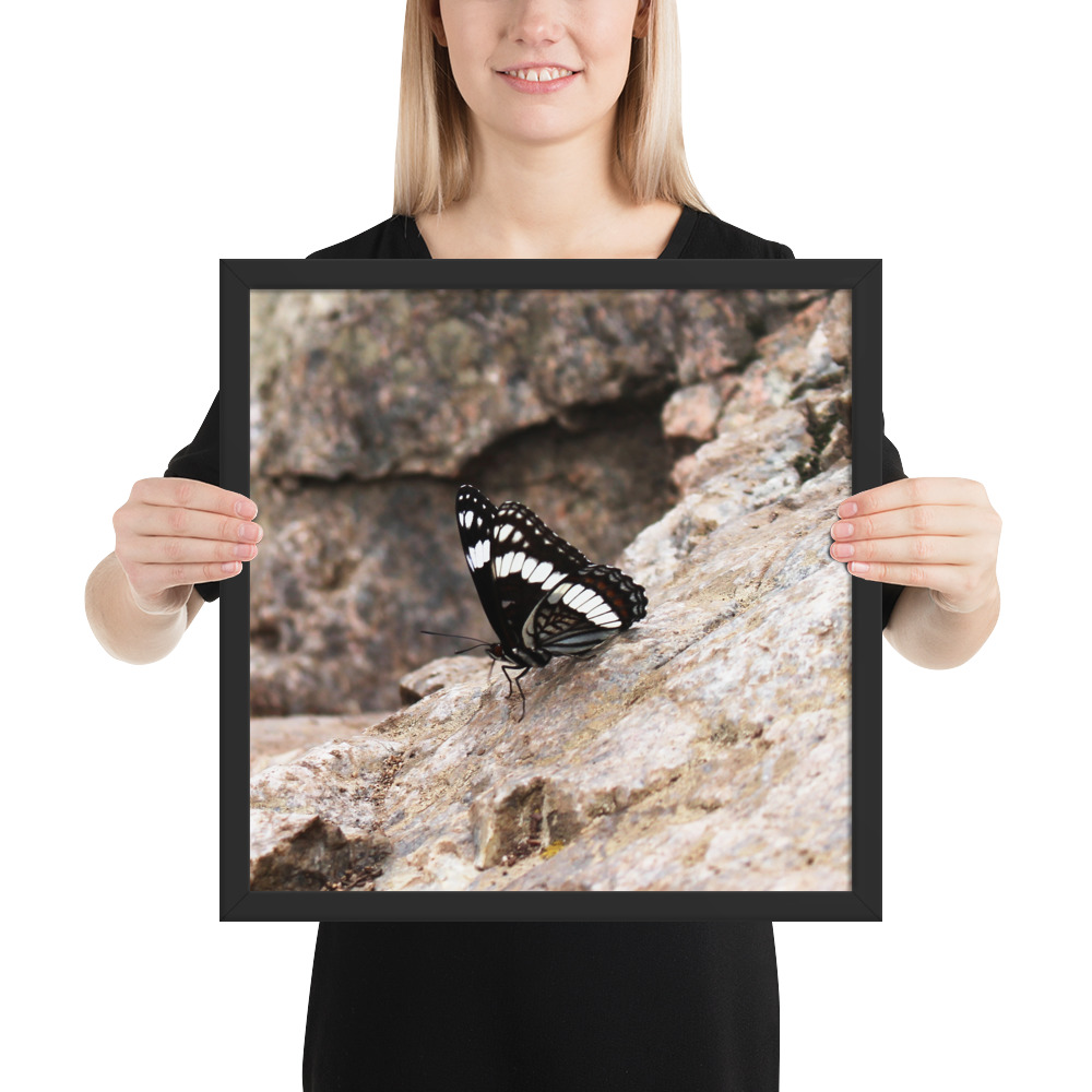 premium-luster-photo-paper-framed-poster-(in)-black-16x16-person-612fd6c77a104
